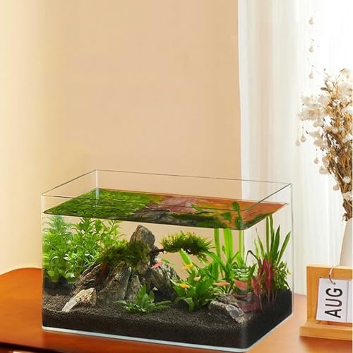 Tazón de tortuga pequeño y compacto para optimizar espacios de casa 7