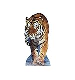 Advanced Graphics Tiger Life Size Cardboard Cutout Standup