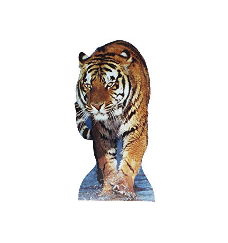 Cardboard People Tiger Life Size Cardboard Cutout Standup