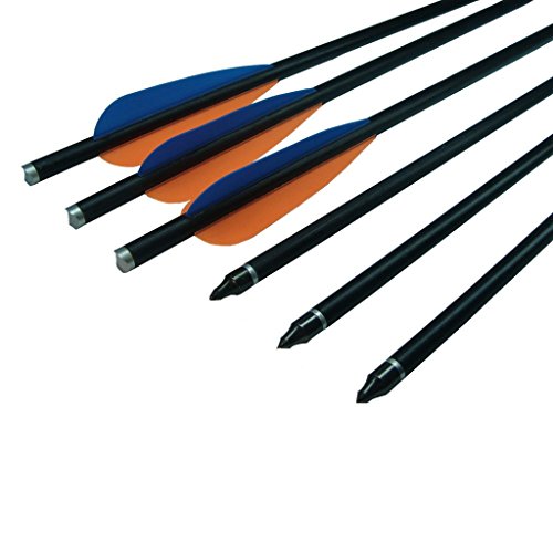 Fay Outdoor Sport 12PK Crossbow Bolts Fiberglass Arrows with Metal Arrowheads and Aluminum Half Moon Nock for Archery Hunting (20 Inch & 125 Grain Tips)