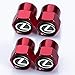 HEY KAULOR 5 Pcs Metal Car Wheel Tire Valve Stem Caps for 2018 NX300h 2018-2013 ES350 GS350 2016-2013 GS300h GS450h with Key Chain Styling Decoration Accessories