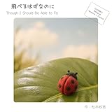 飛べるはずなのに（日米同時文）