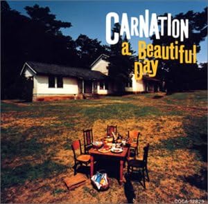 Carnation A Beautiful Day