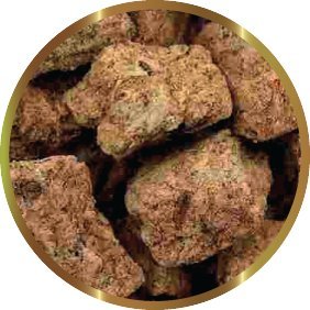 SHG Artemia liofilizada 50 g