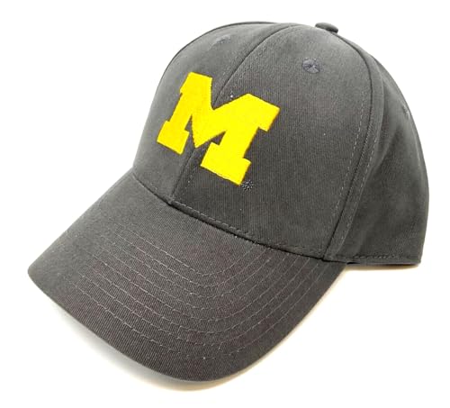 Gorra ajustable curva gris con logo Michigan Wolverines miniatura 3