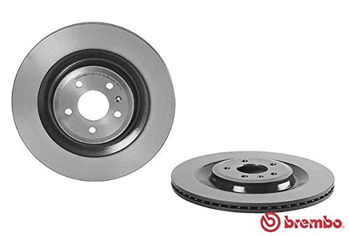 09.C499.11 Disc Brake Rotor