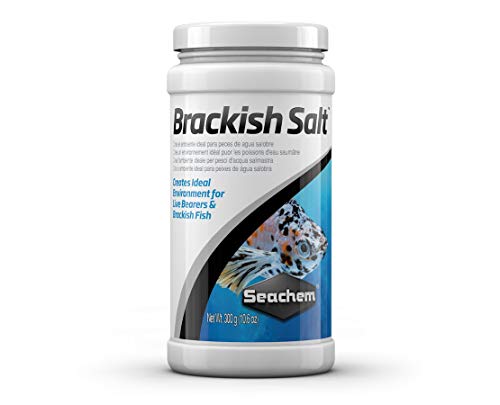 Brackish Salt, 300 g / 10.5 oz