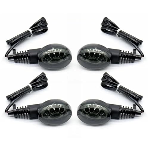 BDDXWSM Intermitentes Motocicleta Luces Para Para Ninja 250R Para Vulcan S 650 Para Z650RS, W800, Cafe KLR650 Luces auxiliares laterales(Fumar,4 piezas)