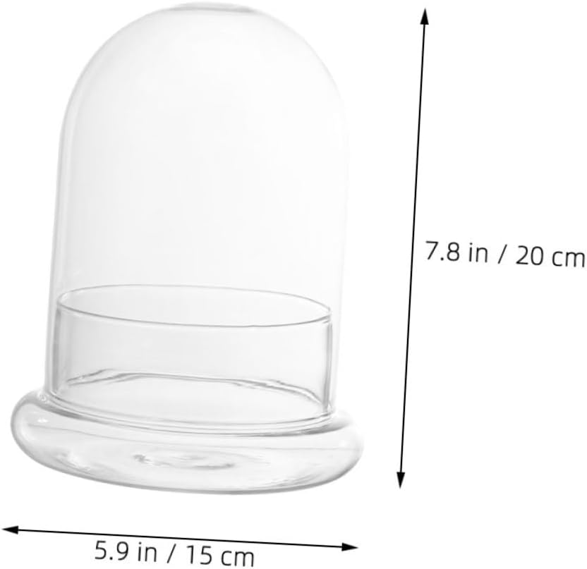 Yardwe Moss Plant Bottle Micro Landscape Bottle Glass Cloche Dome Decorative Glass Planter DIY Terrarium Kit