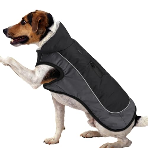Veste d'hiver pour chiens idéale pour les randonnées sous la neige