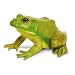 Safari Ltd Incredible Creatures American Bullfrog