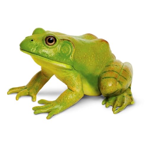 Safari Ltd. American Bullfrog Figurine - Realistic 4.75' Model Figure - Educational Toy for Boys...