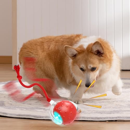 Bola interativa para gatos,Bola interativa inteligente para gatos - Bola de brinquedo inteligente re