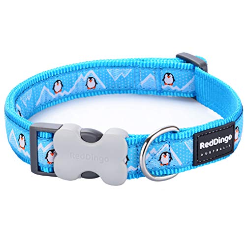 Red Dingo Hundehalsband mit Pinguin-Design, Türkis, Größe S