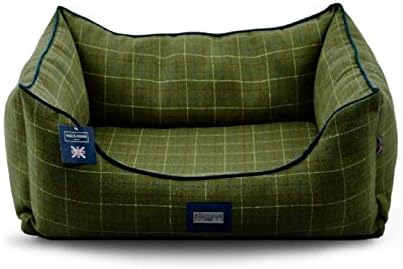 green dog bed