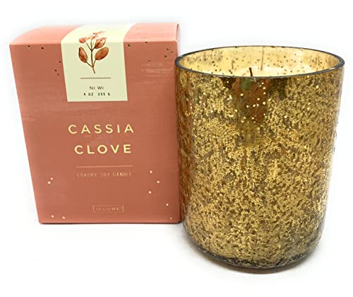Illume Cassia Clove Small Luxe Sanded Mercury Candle, 1 Ea #TOP12