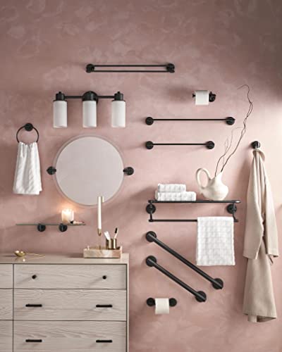 Moen Dn0709Bl Iso Collection European Single Post Toilet Paper Holder, Matte Black #TOP4