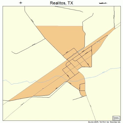 Large Street & Road Map of Realitos, Texas TX Printed poster size