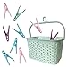 Pinzas para la Ropa y Práctica Cesta con Asa para Colgar y Guardar Tus Clips para Tender la Ropa. 20 Pinzas Clásicas de Plástico Resistente con cesto Ideal para Tendedero. (Cesta Verde Pastel)