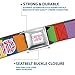 Hasbro Belt, Seatbelt Buckle Belt, Candy Land Game Logo Color Blocks Multi Color, Youth 22 to 32 Inches
