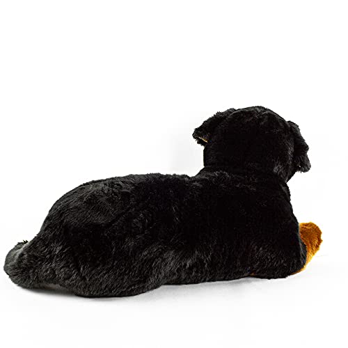 Teddys Rothenburg Berner Sennenhund groß liegend schwarz braun weiß 90 cm Kuscheltier Hund