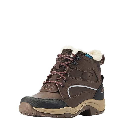 Ariat Telluride bottes imperméables isolées marron foncé pour femme
