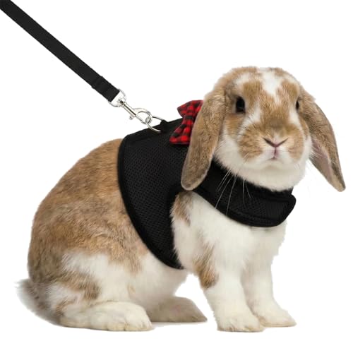 Arnés para gatito seguro y antitirones chaleco transpirable negro 2