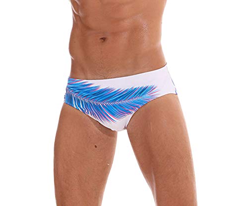 SALENT Mens Swimsuits Swim Boxer Briefs Swimming Short - Quick Dry, Mesh Lining (Cartoon Grid, US Waist:29