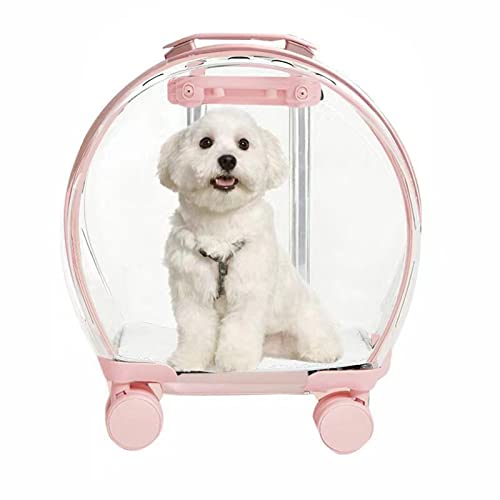 Sac à dos pour chiot et chat transparent idéal pour les voyages en train et voiture