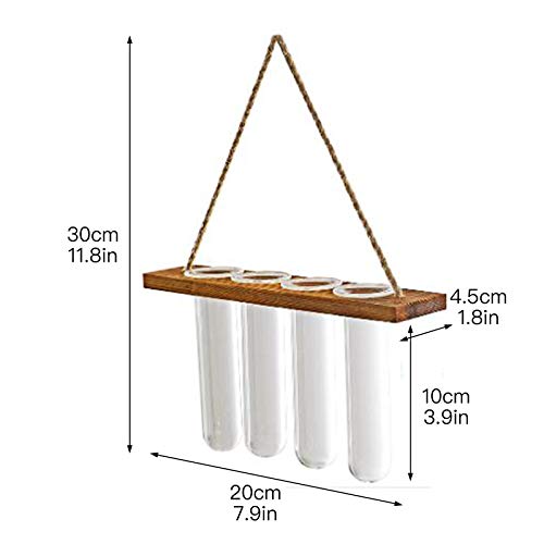 VEUSBJ Vaso de vidro para pendurar na parede, terrário de planta hidropônica de propagação moderno v