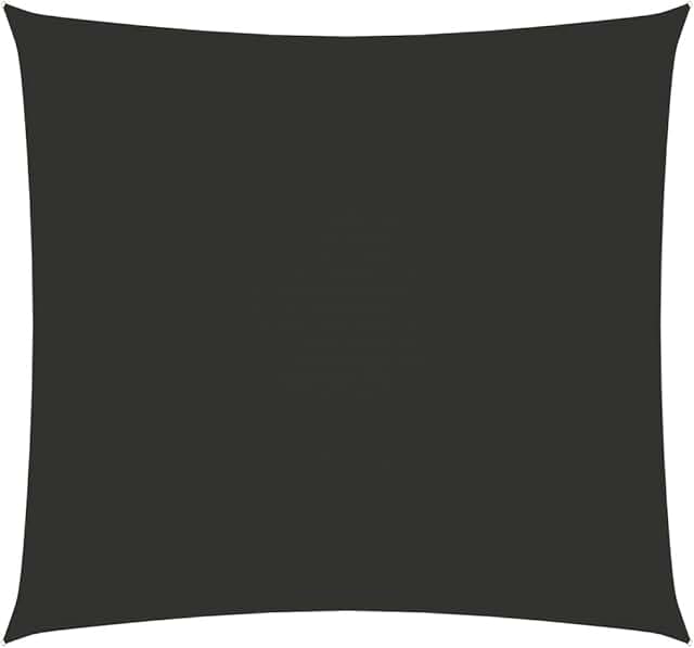 Amazon.es: lona para patios