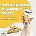 EcoKind Premium Gold Yak Cheese Himalayan Dog Chews, Dog Treats Large Breed, All Natural, High Protein, for Aggressive Chewers, Large - 3 Chews