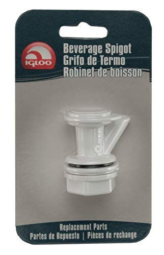 https://m.media-amazon.com/images/I/41REmAFHTJL._SL500_.jpg