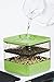 GARDENS ALIVE! Seed Sprouter Kit, Two Tier Stackable Seedling Starter Tray with Lid, Microgreens Propagator Mini Plant Grow Trays, Germinate Seeds Indoors, Healthy Snacks, Bean Sprouts, Soil Free
