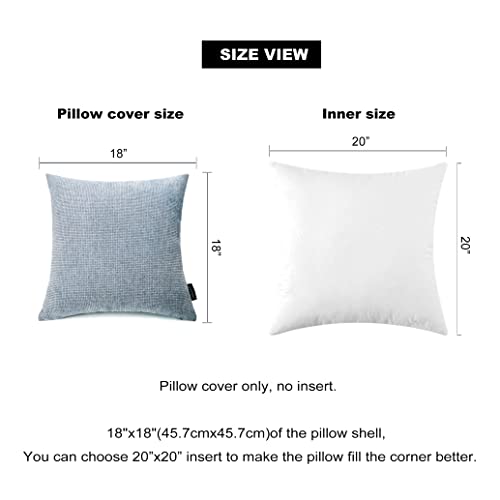 Booque Valley Pack of 2 Chenille Pillow Covers，Soft Thick Texture Solid Velvet Cushion Covers Square Throw Pillow Cases for Sofa Bedroom 18 x 18 Inch Light Blue