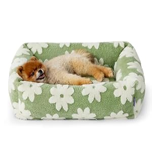LE SURE Cute Dog Bed for Small Dogs – Washable Puppy Beds,Cozy Rectangle Orthopedic Pet Sofa with Jacquard Shaggy Plush & Anti Slip Bottom,25x21x7inches