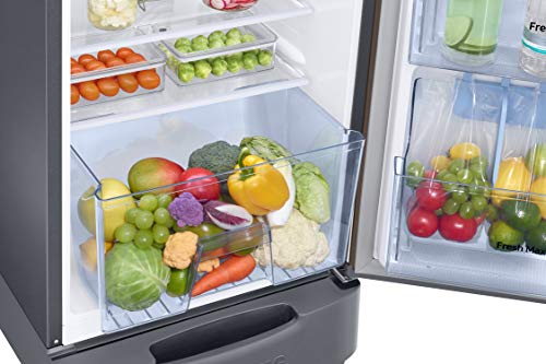 Image of Samsung 246L 3 Star Inverter Direct-Cool Single Door Refrigerator Appliance (RR26C3893DX /HL,Luxe Brown) Base Stand Drawer