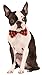 Halloween Argyle Pet Bowtie, Medium/Large