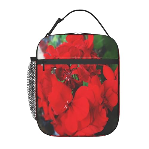 |[^ufM`obOBhEhRdlAX^CbVŏvBdAwZAAEghAɍœKBjpB(\t@̐Ԃ[jẺԕ)