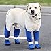 Hundepfotenstiefel-Leggings – Schneeschuhe, Hundepfotenschutzstiefel, Hundegeschirr für kleine bis XL | schmutzabweisend, rutschfest, mittelgroße Hunde, Winterstiefel, Rücken zu Rücken Hund,