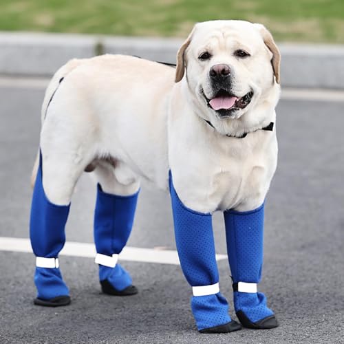 Hundepfotenstiefel-Leggings – Schneeschuhe, Hundepfotenschutzstiefel, Hundegeschirr für kleine bis XL | schmutzabweisend, rutschfest, mittelgroße Hunde, Winterstiefel, Rücken zu Rücken Hund,