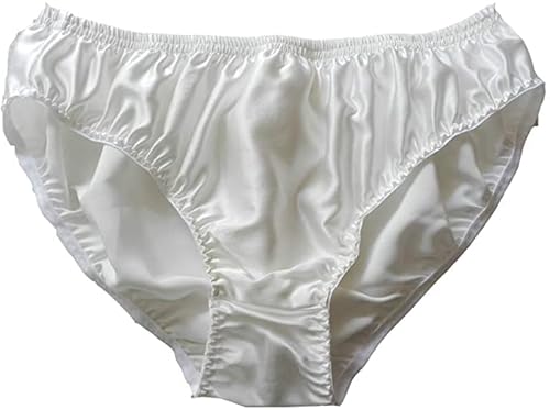 Yavorrs New 6Pcs Men's 100% Silk Underwear Briefs Bikinis M L Xl 2Xl (Multicolor, X_L) #TOP1