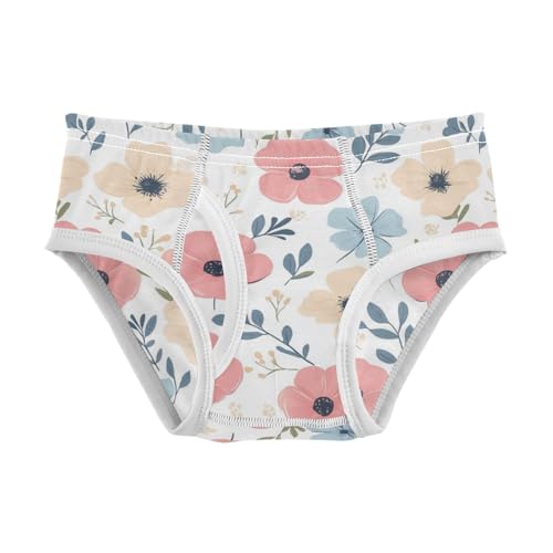 Wusikd Cute Boys' Underwear Cotton Flowers Boys Briefs Soft Toddler Underwear 2T