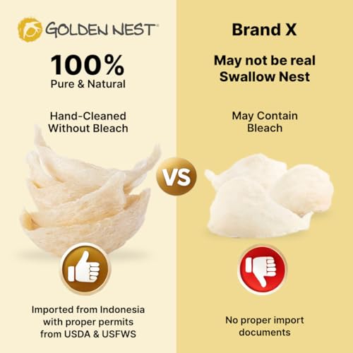 Golden Nest Premium White Bird Nest AAA, 100% Natural - Made in USA, ( 燕窩 ) - Family Size Box - 227g (8oz)