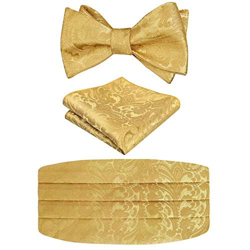 Image of Alizeal Mens Paisley Adjustable Bow Tie Set