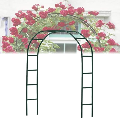 Arches de fleurs de jardin tuteur en métal pour tuteurer facilement vos rosiers grimpants