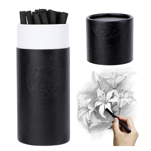 Willow Charcoal Sticks for Sketching Art Supplies