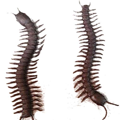 Set de decoración de Halloween Ciempiés Halloween Toy Brown 10 Pack Regalos para Niños en Halloween