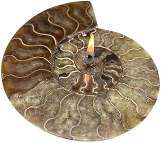 Ammonite Fossil Rock Oil Candle Lamp – Natural Stone Candle with Fiberglass Wick & Starter Oil Pack – Handmade Fossil Decor – 5.5” x 6.5” – #4291