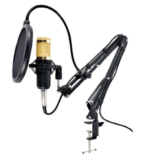 Kit Microfone Estúdio BM800 + Pop Filter + Aranha + Braço Articulado 813 - Lorben
